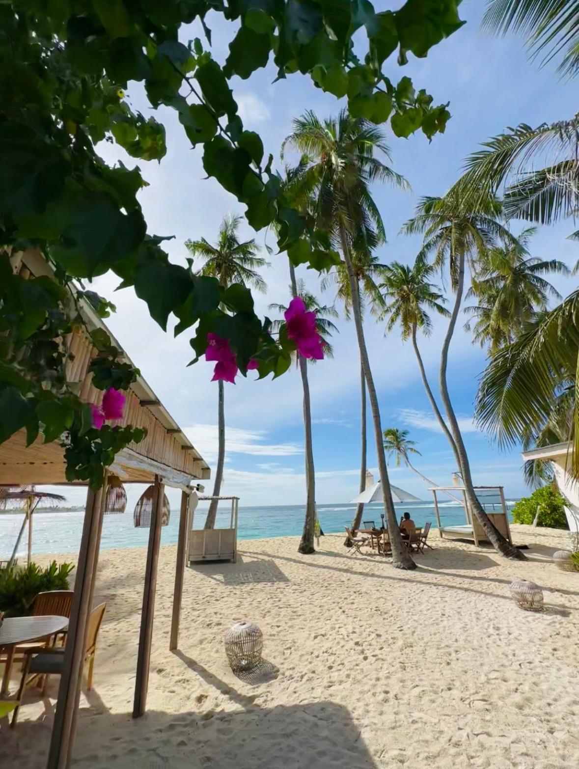 Guest house Met House Thulusdhoo
