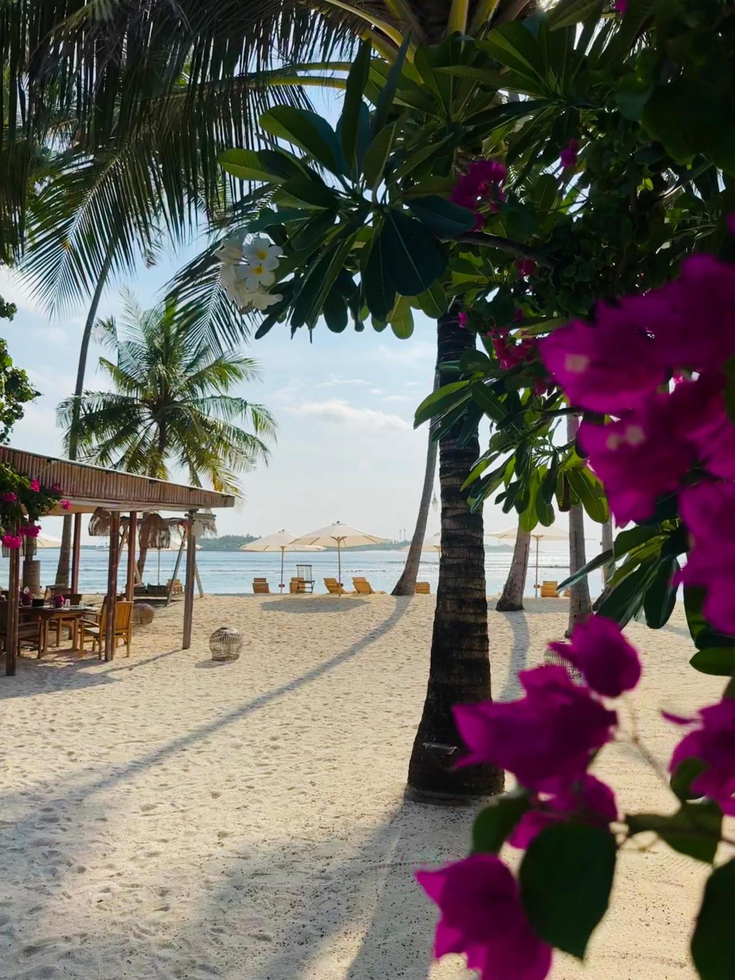 Met House Thulusdhoo