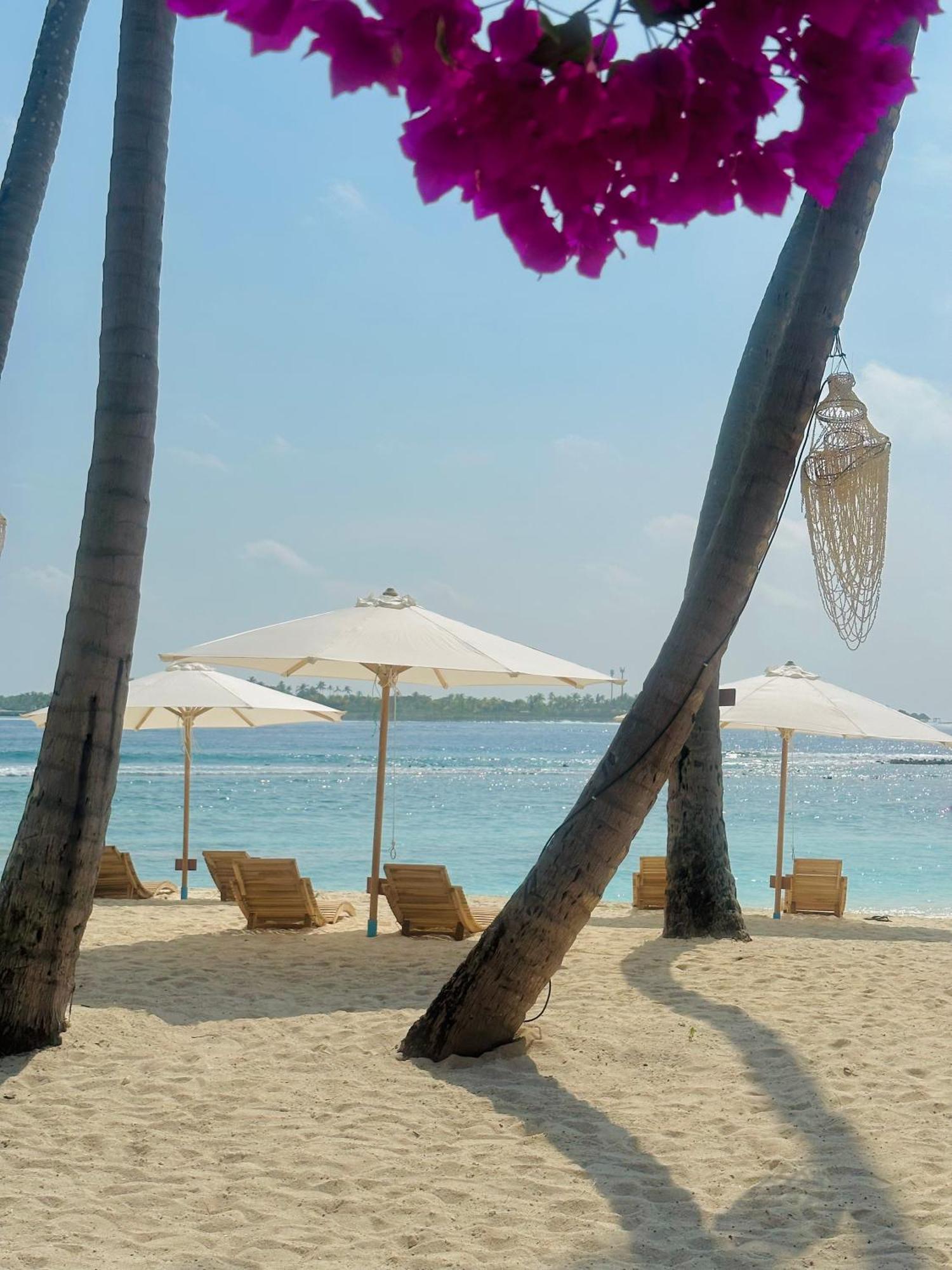 Gasthof Met House Thulusdhoo
